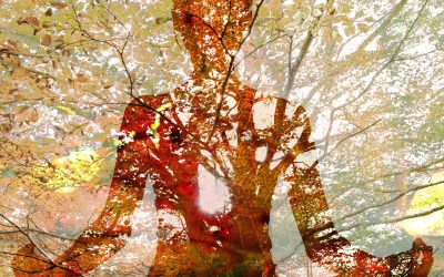 Exploring Consciousness Monthly Meetup